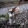 Sartén de hierro forjado Petromax SP24